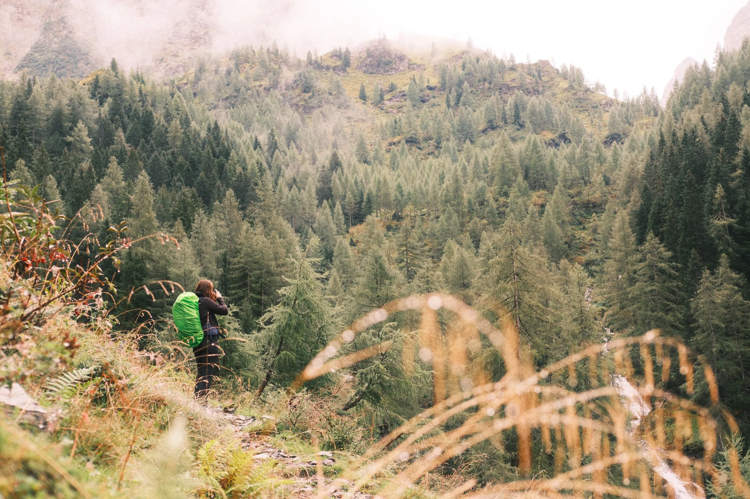 Out in the Alps - detail from the blog article