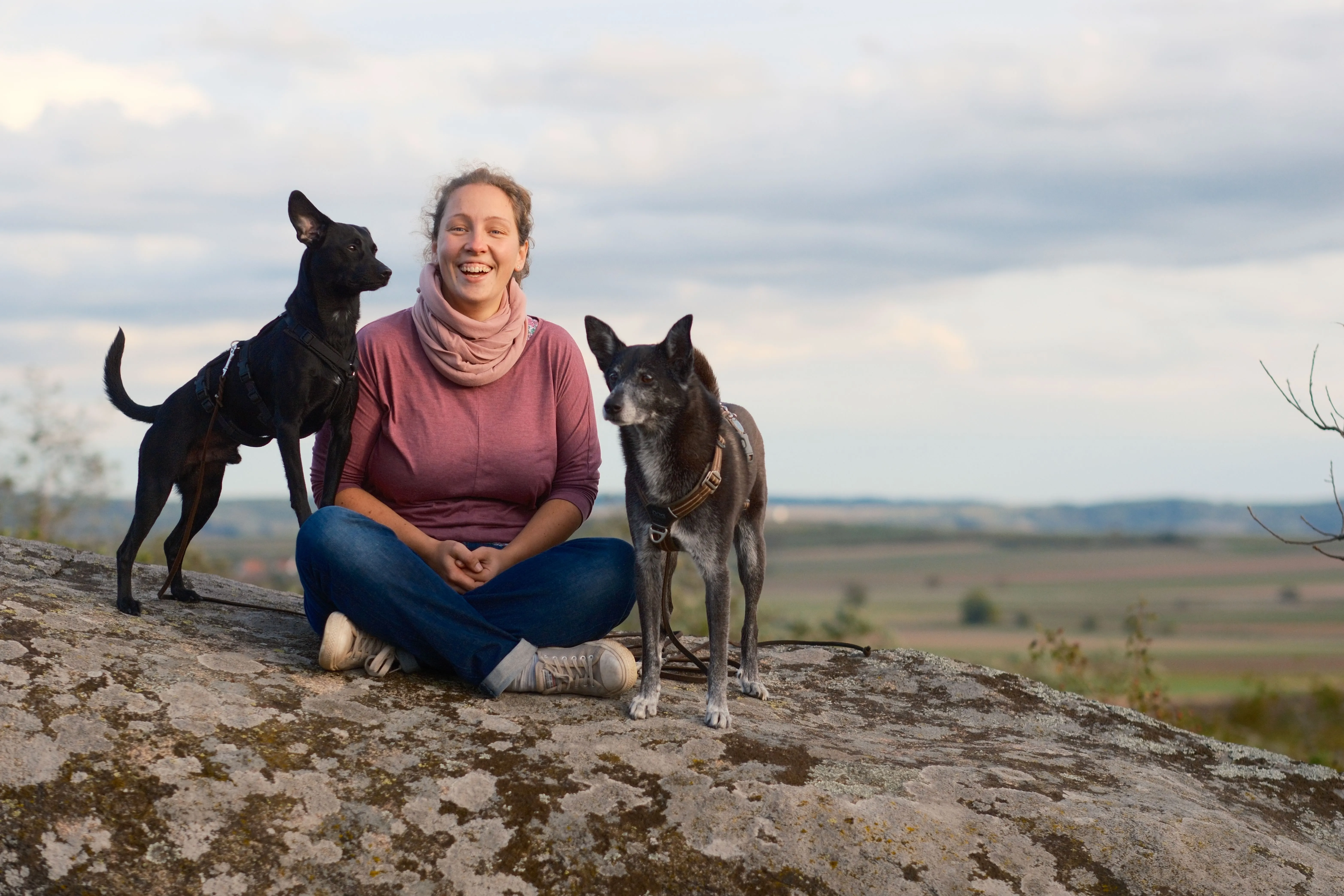 Georg Kropik - Portfolio Image