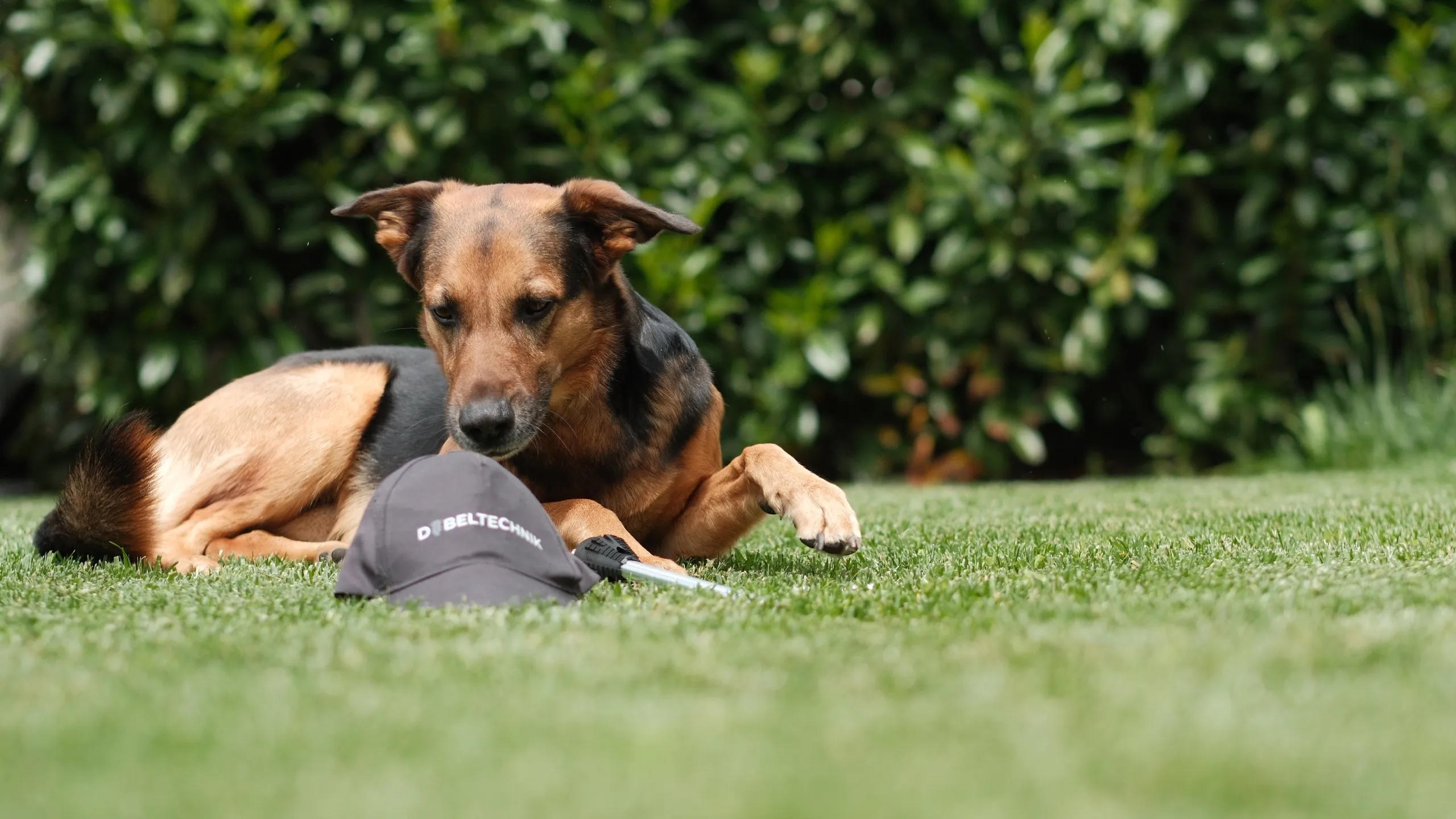 Beratungskompetenz sichtbar machen – Detail aus dem Blogartikel