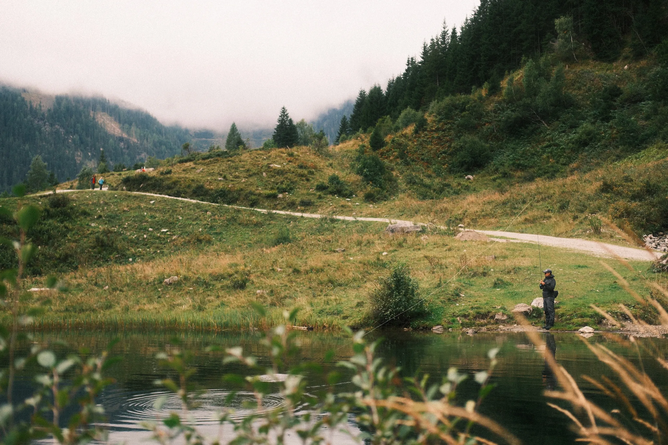 Out in the Alps - detail from the blog article