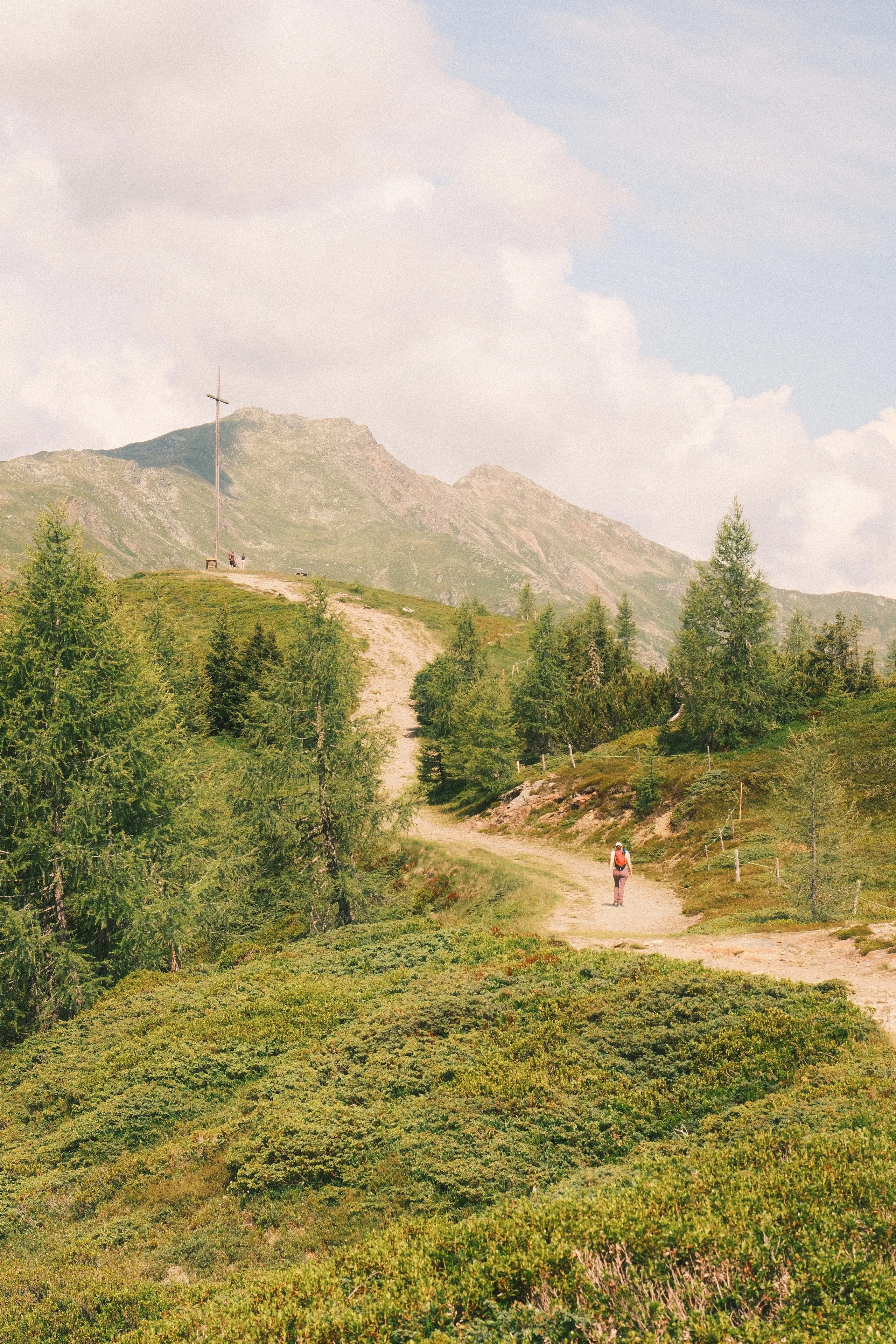 Out in the Alps - detail from the blog article