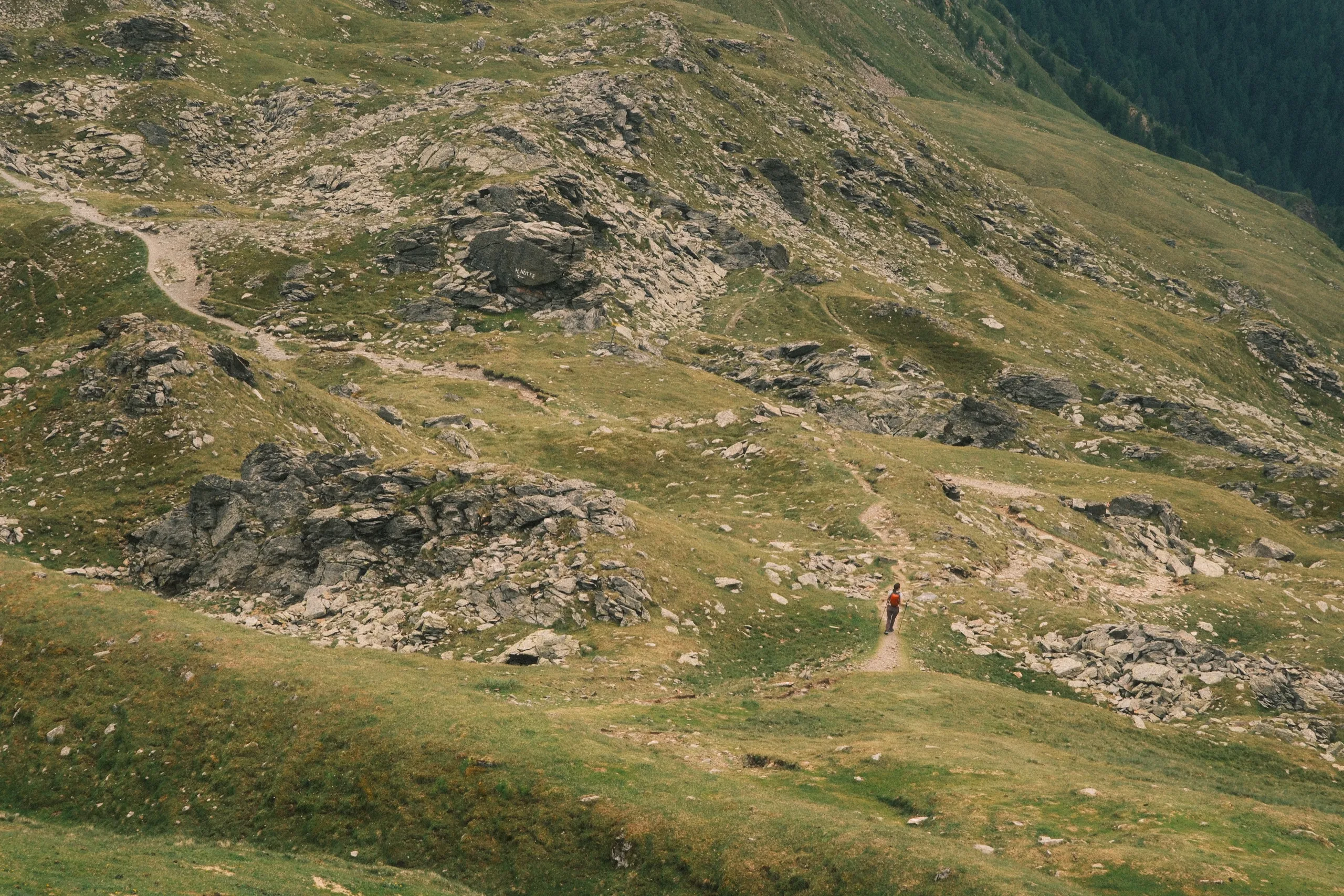 Out in the Alps - detail from the blog article