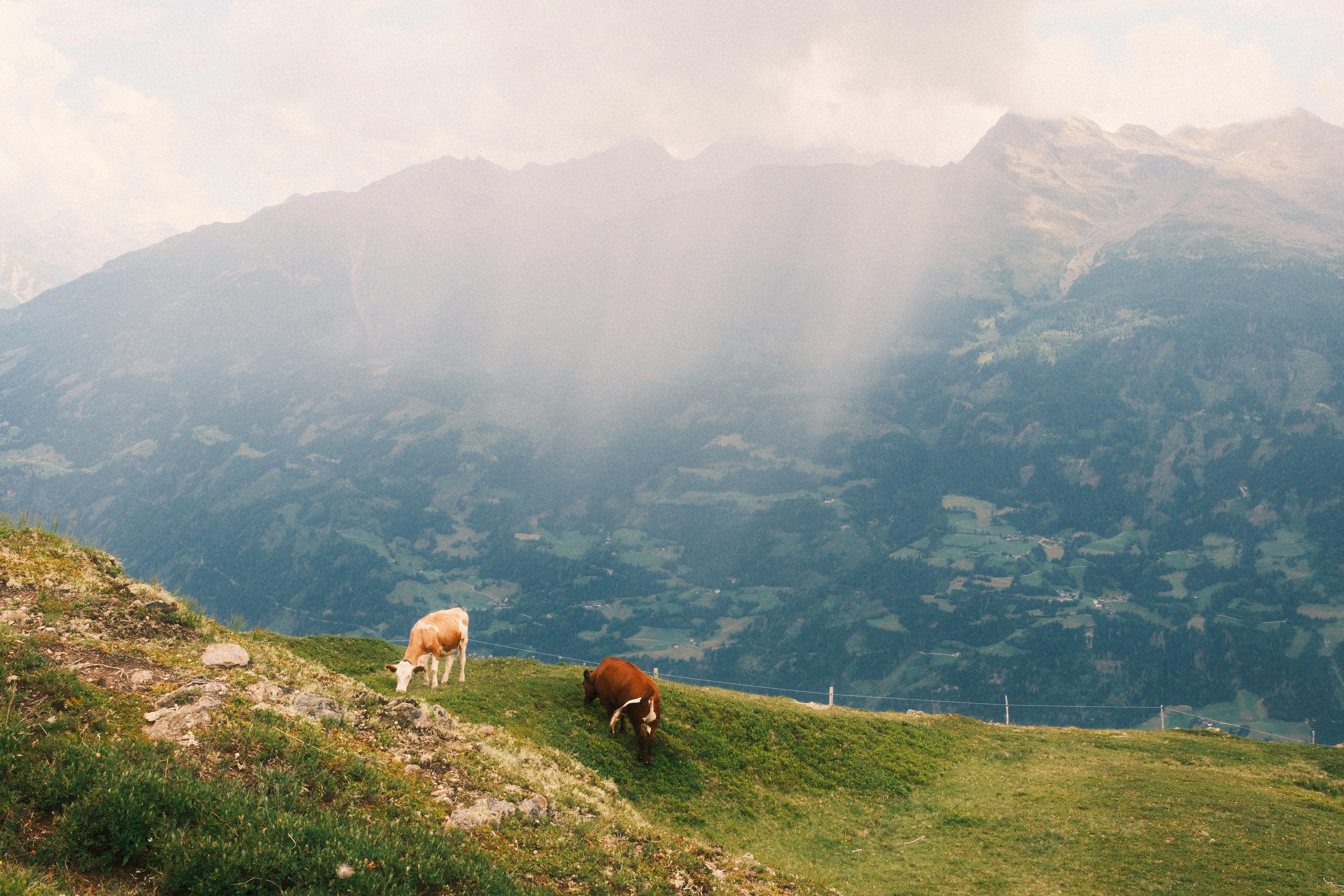 Tipps für lebendige Landschaftsfotos in den Alpen Fotografie von Georg Kropik